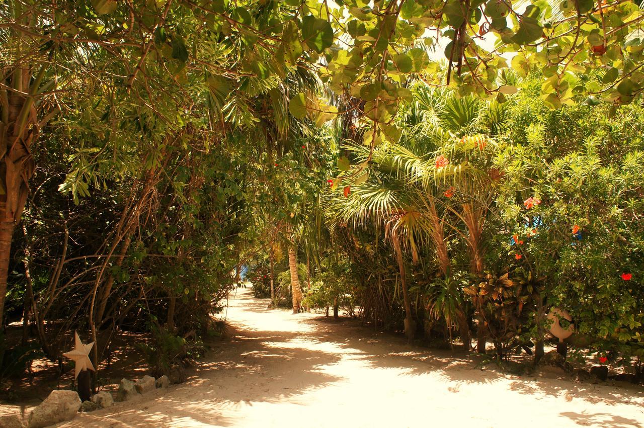 Cabanas La Luna Hotell Tulum Exteriör bild