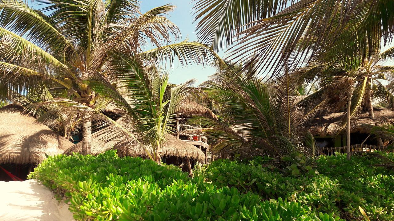 Cabanas La Luna Hotell Tulum Exteriör bild