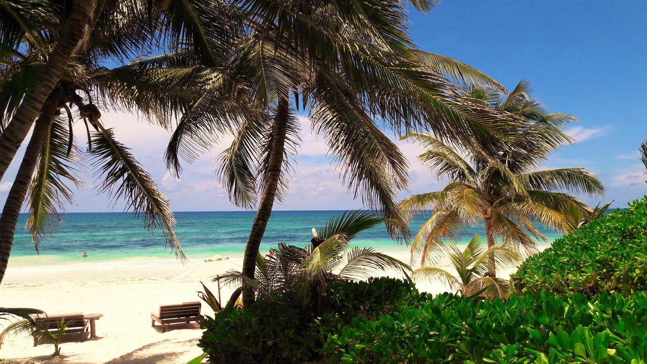 Cabanas La Luna Hotell Tulum Exteriör bild